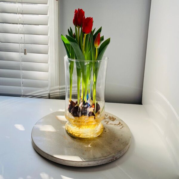 Concrete Lazy Susan 14" - Image 7